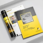 Panorama-Annual-Report-1