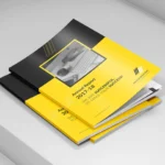 Panorama-Annual-Report-2